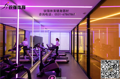 VSPORTS体育官网體育提供的日照某酒店健身房解決方案